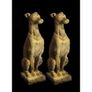 Italian Hounds EG006 Image 2
