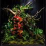 Vivarium & heaters. 4x2x4 pvc viv. Image 2
