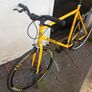 fixie - xl Image 5