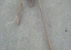 Old cast iron wall mounted hand water pump