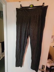 miso leopard print leggings