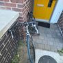push bike Image 2