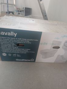 Brand new toilet
