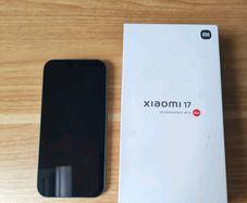 Xiaomi 17 EU green