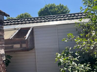 Ex pigeon loft