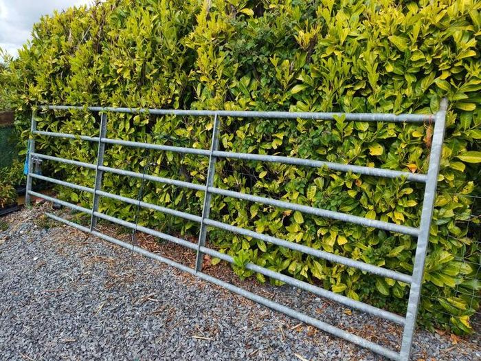 14ft field gate