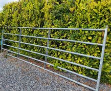 14ft field gate