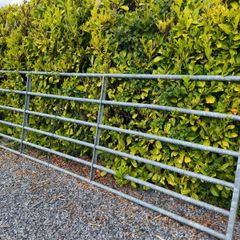 14ft field gate