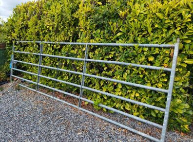 14ft field gate