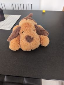 Heartbeat puppy toy