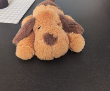 Heartbeat puppy toy