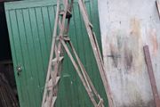 Old pine ladder