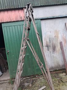 Old pine ladder