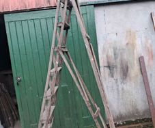 Old pine ladder