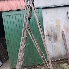 Old pine ladder