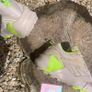 Premium Reebok Aztrek Cream Tan Suede Neon Green Image 3