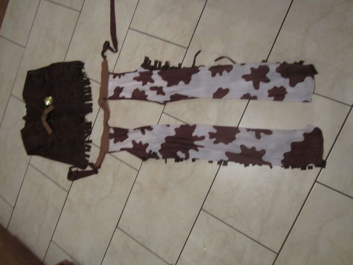 fancy dress    age 10 /12