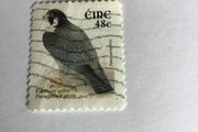 Irish stamp - Peregrine Falcon