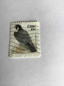 Irish stamp - Peregrine Falcon