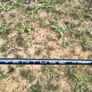 Wilson DYNAPWR Carbon Driver RH - 10.5 - Stiff - Excellent Condition Image 4