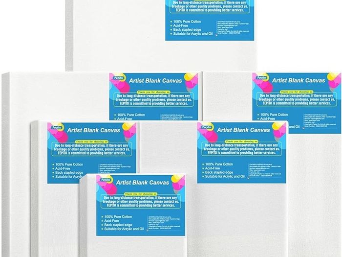 6 Set Blank Stretched Canvas Assorted Size Artist Canvas Multipack Canvases for Acrylic Oil Water Painting