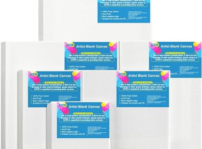 6 Set Blank Stretched Canvas Assorted Size Artist Canvas Multipack Canvases for Acrylic Oil Water Painting