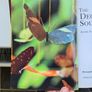The Decoupage Sourcebook. Includes 64 Pages Of Motifs To Cut Out. By Jovasta Innrs & Stewart Walton. Image 3