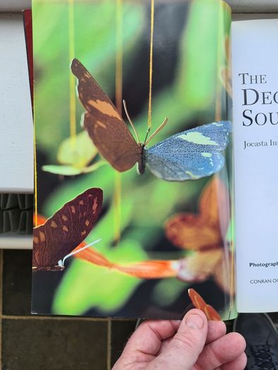 The Decoupage Sourcebook. Includes 64 Pages Of Motifs To Cut Out. By Jovasta Innrs & Stewart Walton.