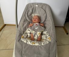 Joie Dreamer Rocker - Baby Bouncer