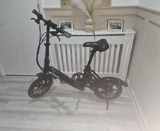 Fiido d3 pro electric bike