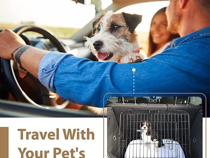 Dog Crate Dog Cage from Small to Large, Foldable Puppy Dog Crates , Cage Furniture with Non-Chew Metal Removable Tray Silver Folding 2 Door Crate, Medium Size 30-inch(76.2cm) Black (FREE POSTAGE)