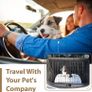 Dog Crate Dog Cage from Small to Large, Foldable Puppy Dog Crates , Cage Furniture with Non-Chew Metal Removable Tray Silver Folding 2 Door Crate, Medium Size 30-inch(76.2cm) Black (FREE POSTAGE) Image 4