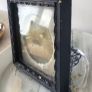 antique picture frame Image 2