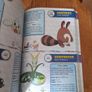 Pokemon Deluxe Essential Handbook Image 4