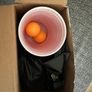 Move the Goalpost Beer Pong Image 2