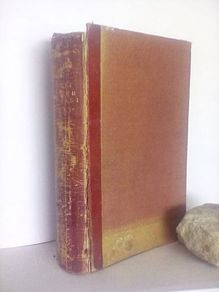 Sunshine and Storm in The East, or Cruises to Cyprus and Constantinople by Mrs. Brassey (HQ410)
