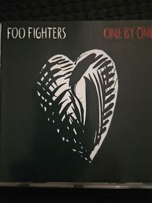 Foo Fighters - One By One.