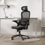Ergonomic Office Chair Sihoo M102C Image 2