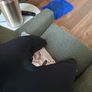 wetsuit Image 5