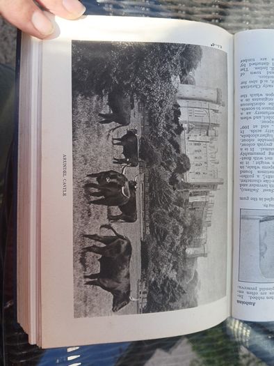 The Daily Express Encyclopedia 1st Ed. 1934