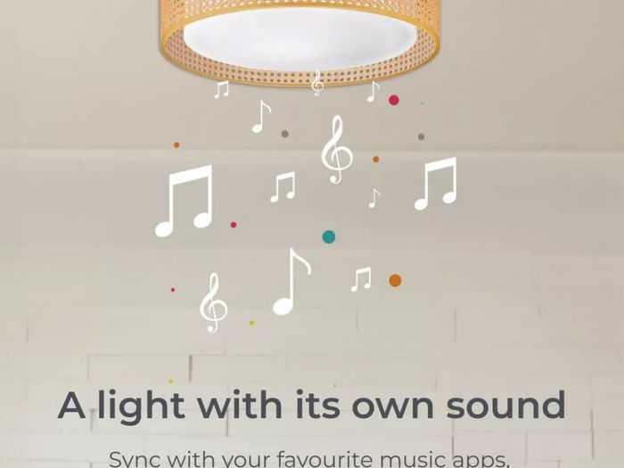 Bohemia Smart LED ceiling light, Rattan design, 3W speaker, RGBIC