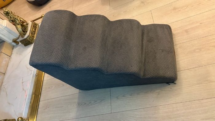 Pet Dog Steps