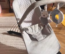 Baby Bouncer