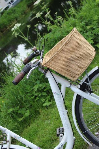 Ladies Bike Raleigh Caprice - 3 Speed Internal Gears Basket included