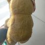 pudsey bear children in need bear Image 2