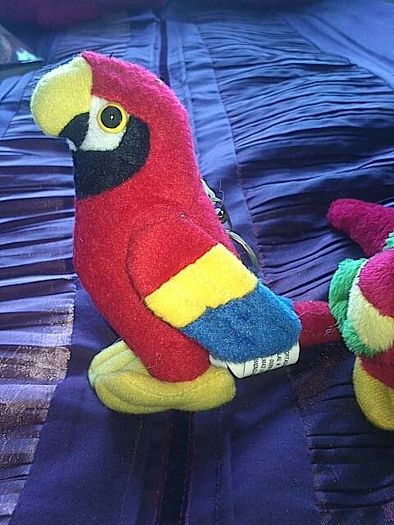 2 Parrots