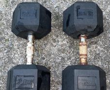 fitness dumbells