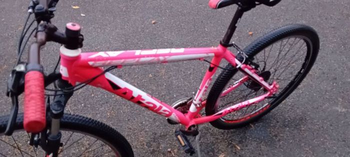 Bargin Mountain Bike