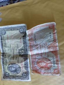 Bank notes