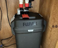 fluval 307